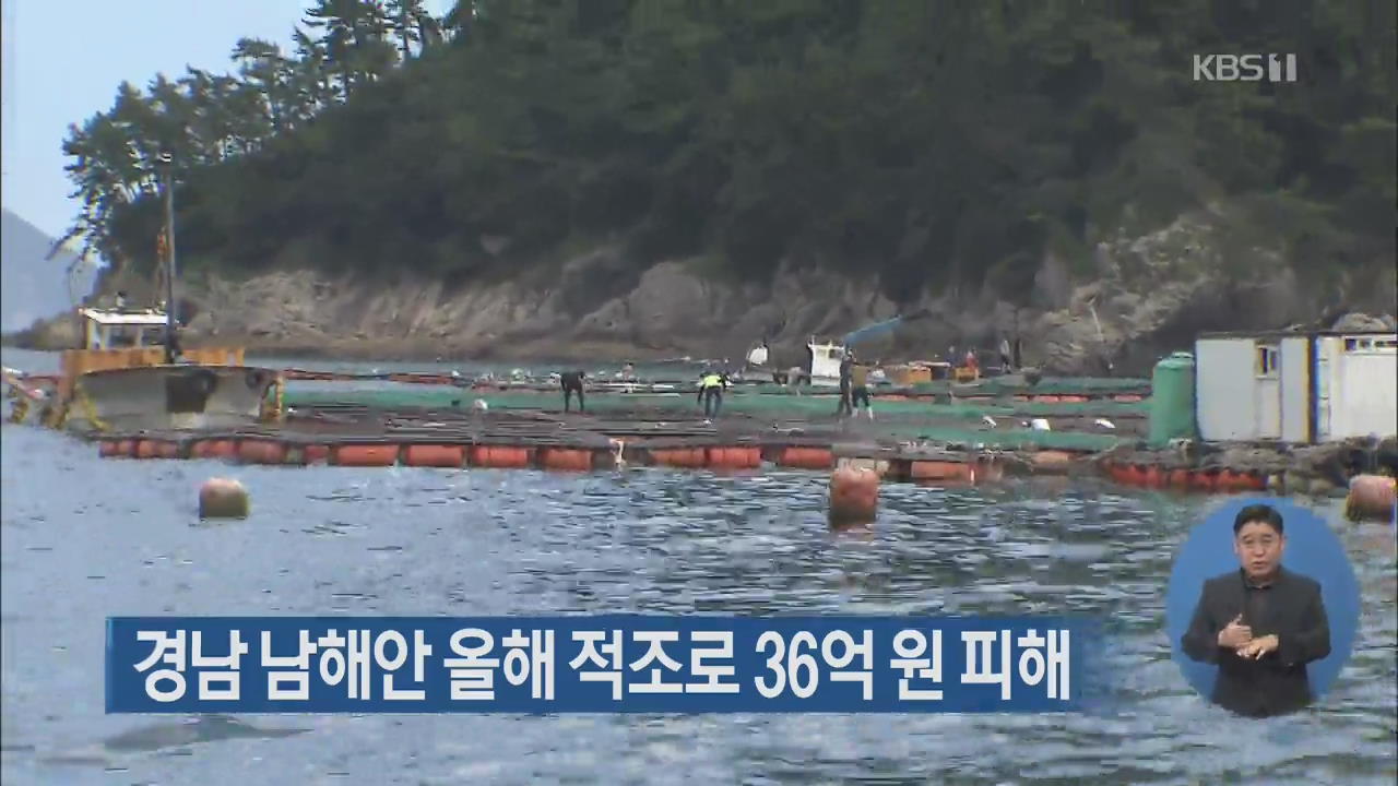 경남 남해안 올해 적조로 36억 원 피해
