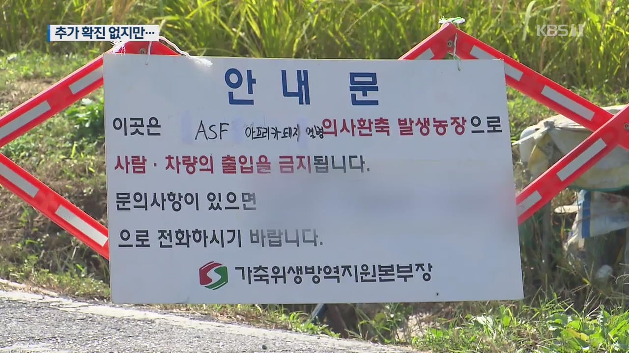 “태풍 앞두고 계속 방역”…매몰처분 작업도 속도