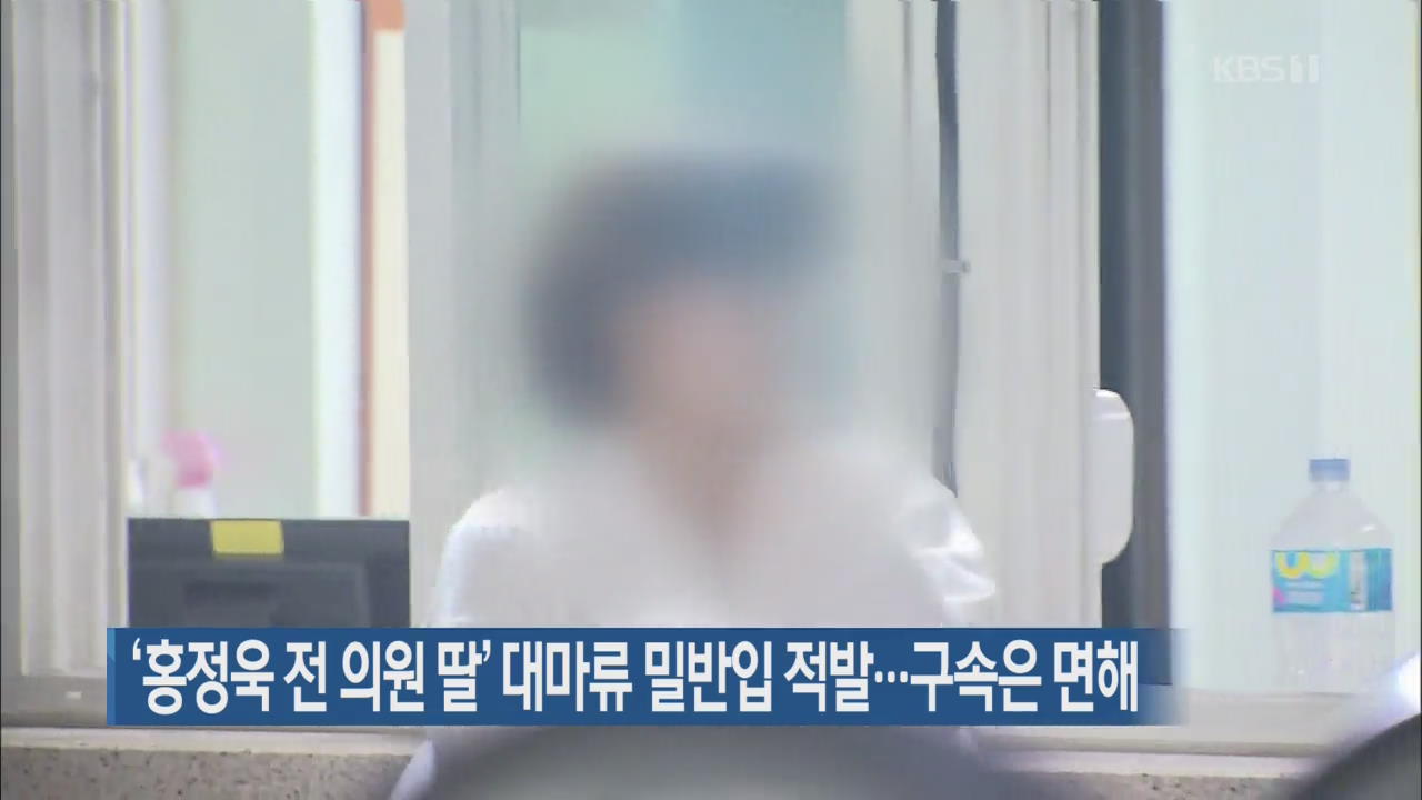 ‘홍정욱 전 의원 딸’ 대마류 밀반입 적발…구속은 면해