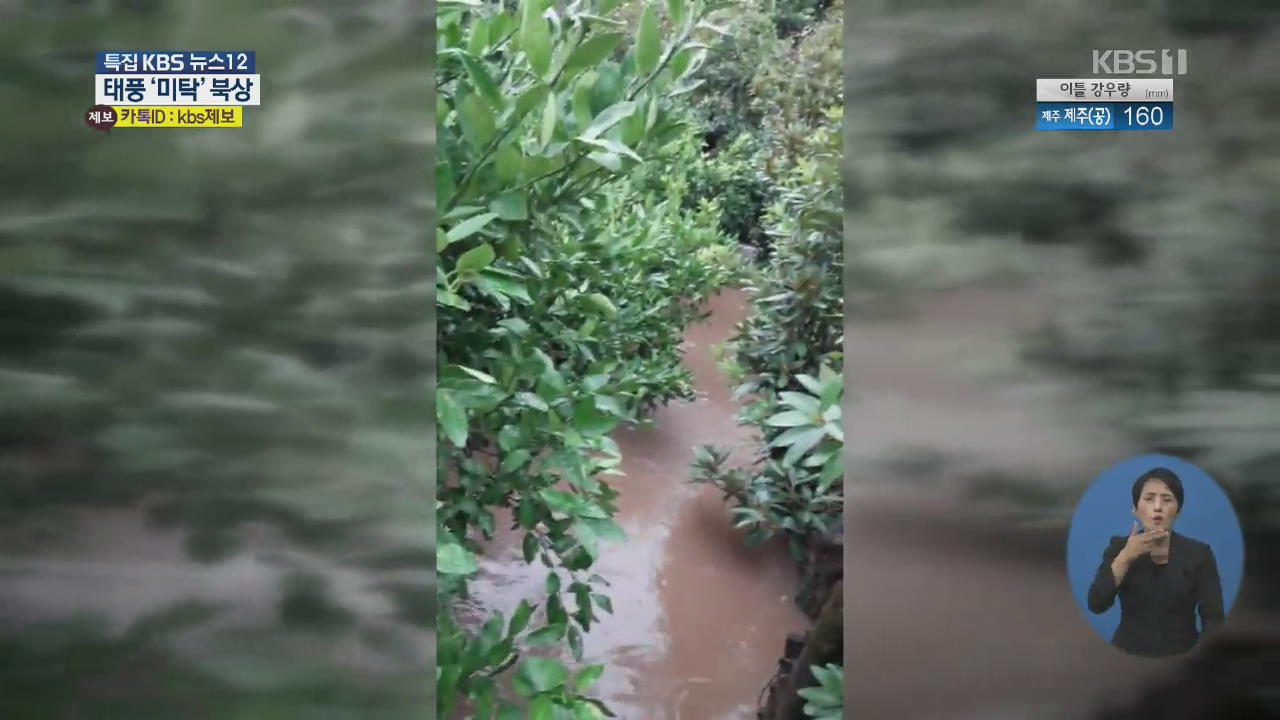 [시청자 제보 영상] ‘강물 불어나고 과수원 침수’…제주·전남 피해 속출