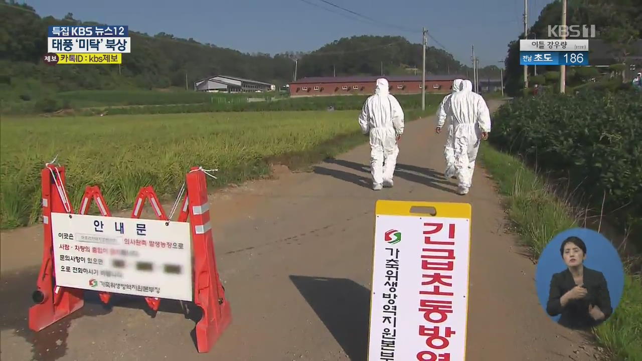 비바람 몰고 오는 태풍 때 ‘아프리카돼지열병’ 방역은?