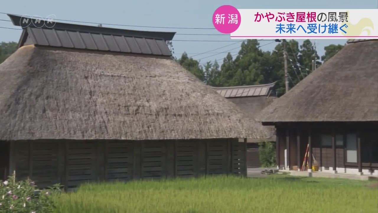 일본, ‘띠집’ 보존 위해 애쓰는 사람들