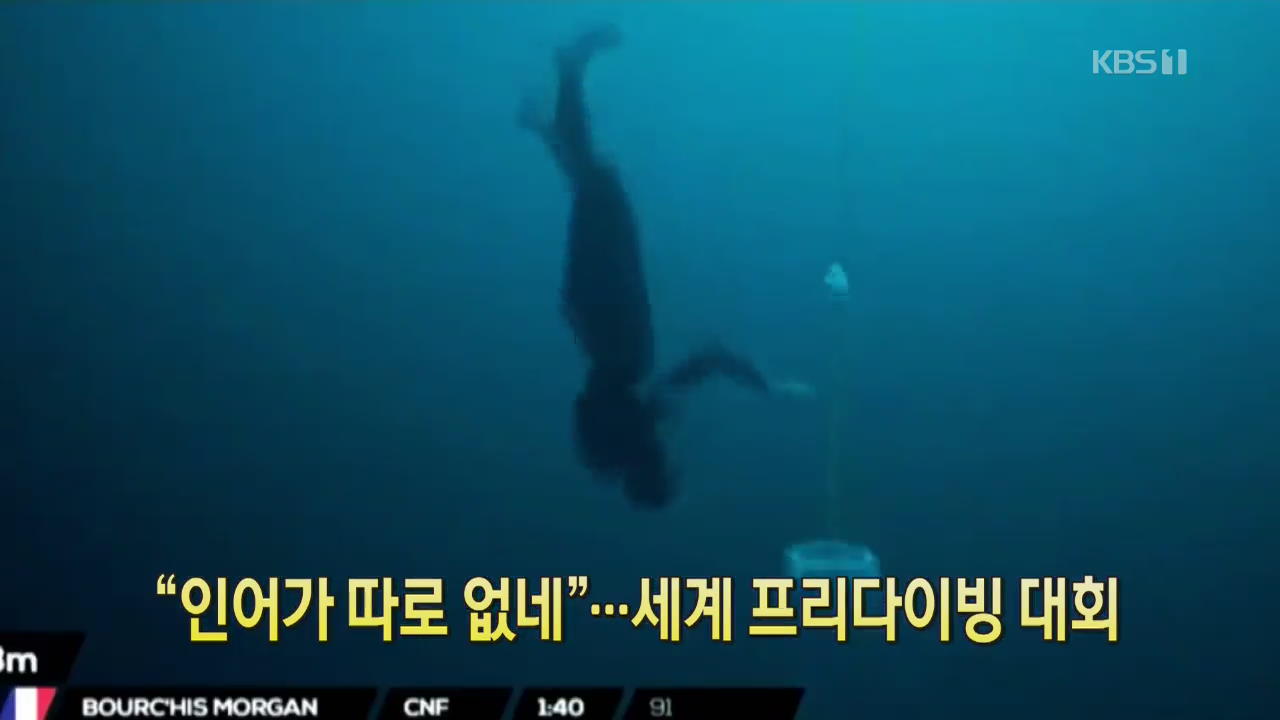 [클릭@지구촌] “인어가 따로 없네”…세계 프리다이빙 대회