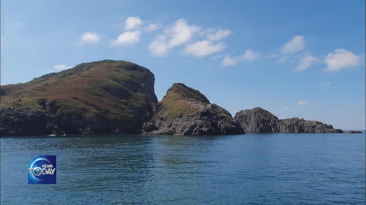 REAL TIME MONITORING OF ISLETS