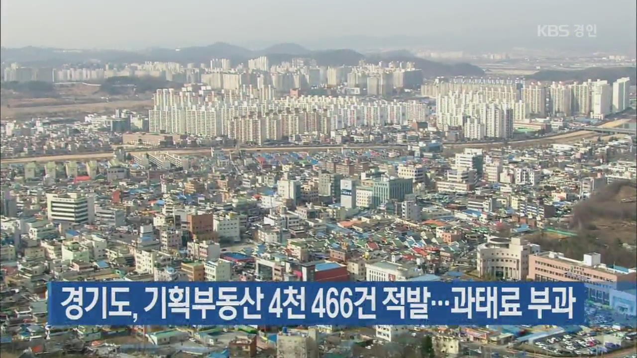 경기도, 기획부동산 4천 466건 적발…과태료 부과