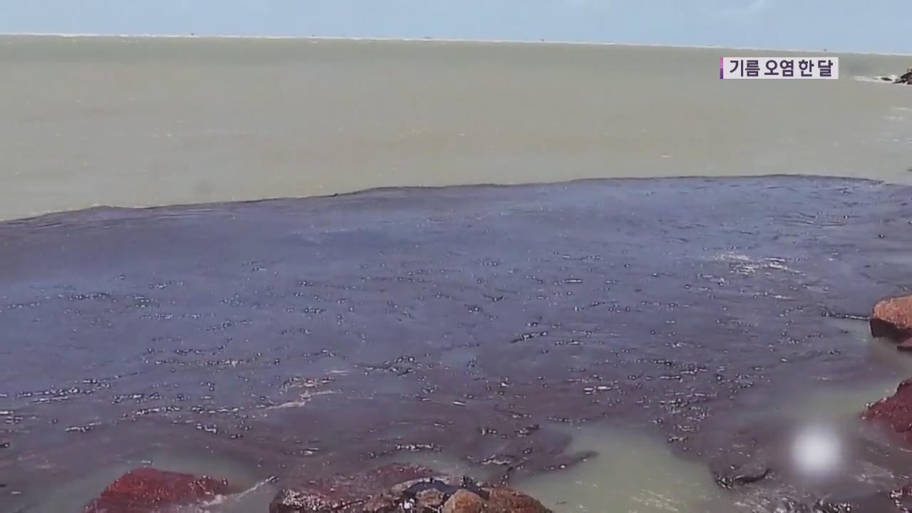브라질 해변 기름 오염 한 달…원인은 ‘오리무중’