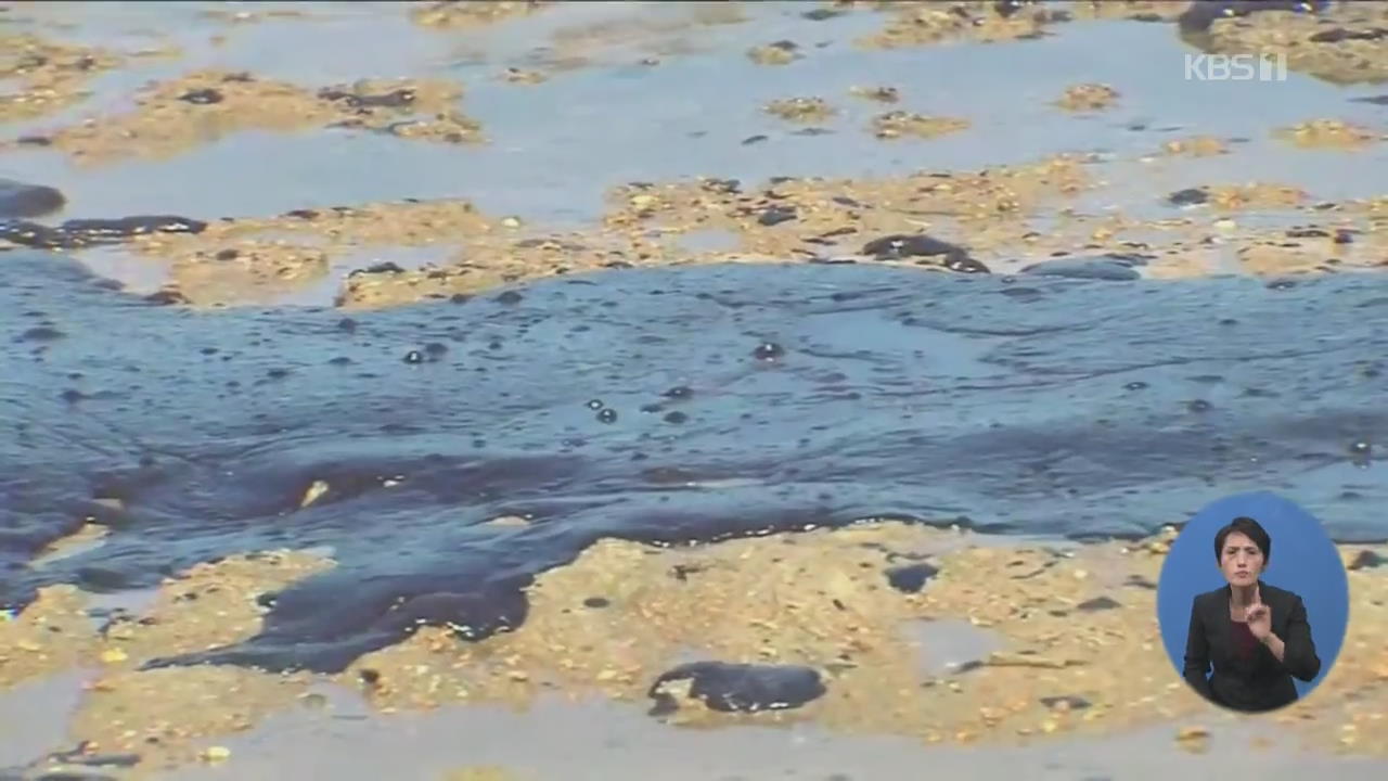 기름 뒤덮인 브라질 해변, 벌써 한 달째…원인은 ‘오리무중’