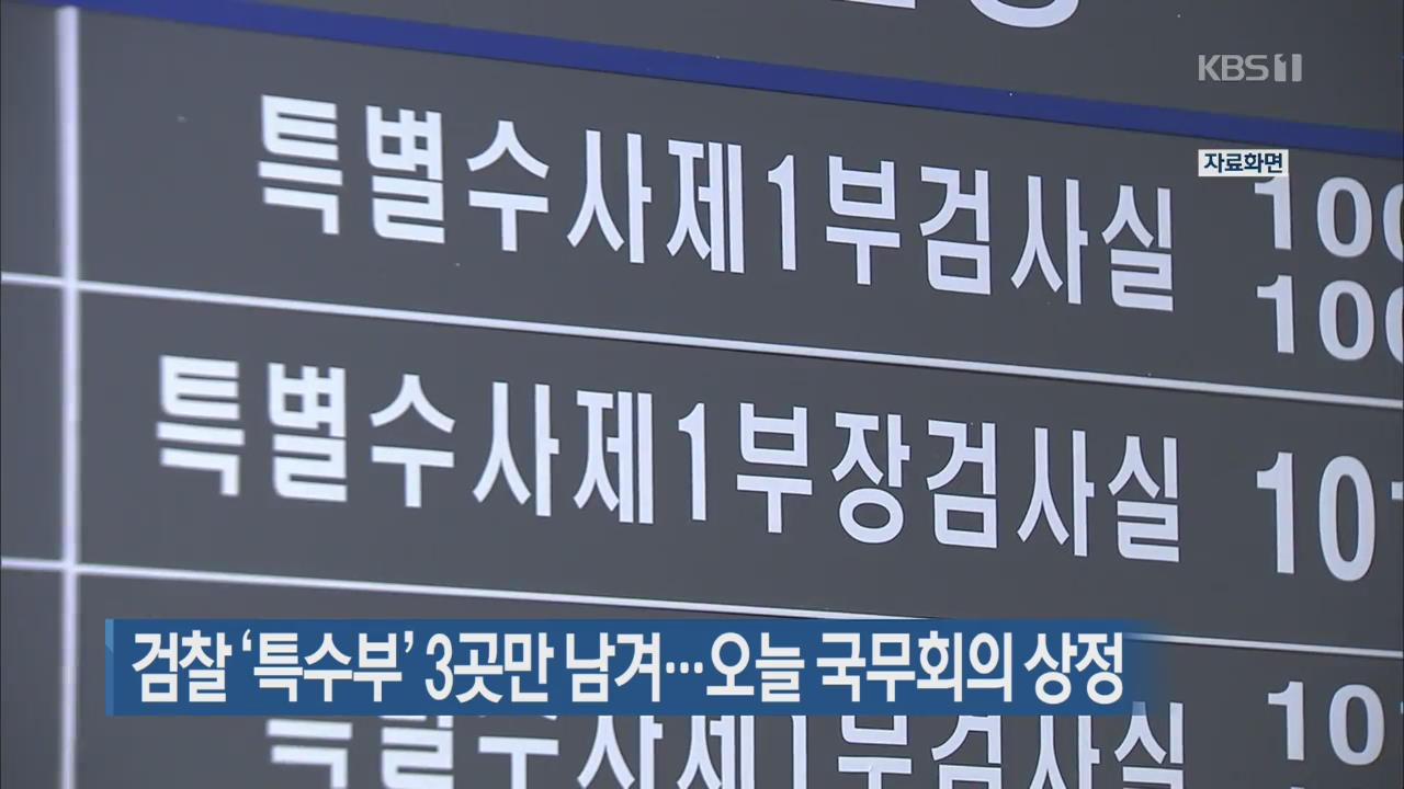 검찰 ‘특수부’ 3곳만 남겨…오늘 국무회의 상정