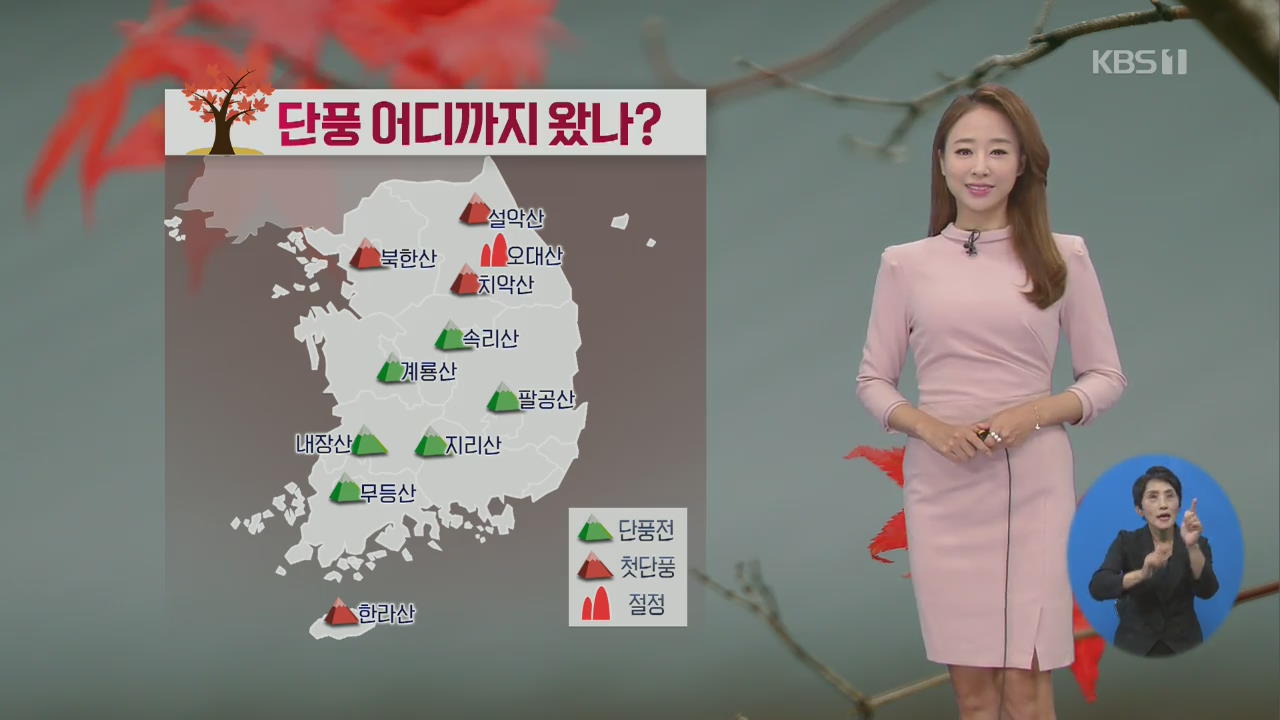[날씨] 강원 이어 북한산에도 단풍…큰 일교차 주의