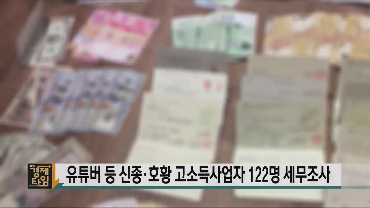 유튜버 등 신종·호황 고소득사업자 122명 세무조사