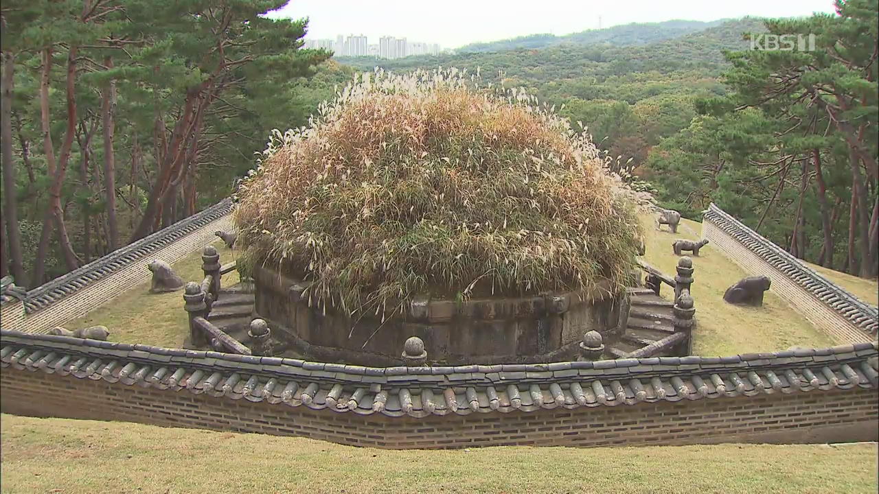 억새로 덮인 건원릉의 가을…이성계 능침 한시적 공개