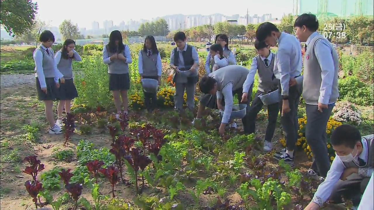 학교 텃밭 가꾸기…학업 성취·인성 교육에 효과