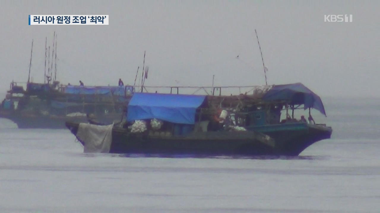 러시아 원정 오징어 조업 ‘최악’…“온통 북한 어선”