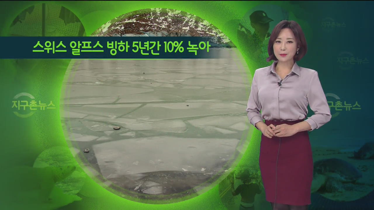 [지구촌 날씨] 스위스 알프스 빙하 5년간 10% 녹아