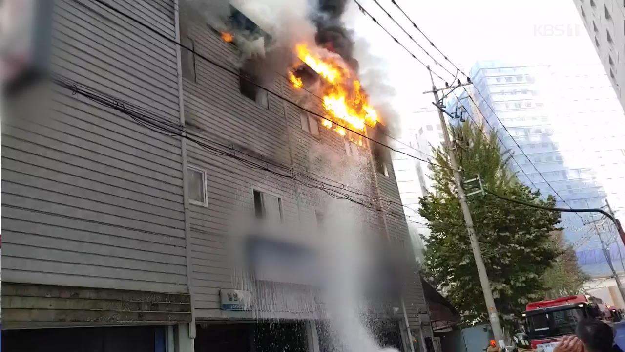 자동차 정비소 화재…영덕 앞바다서 멧돼지 포획 소동