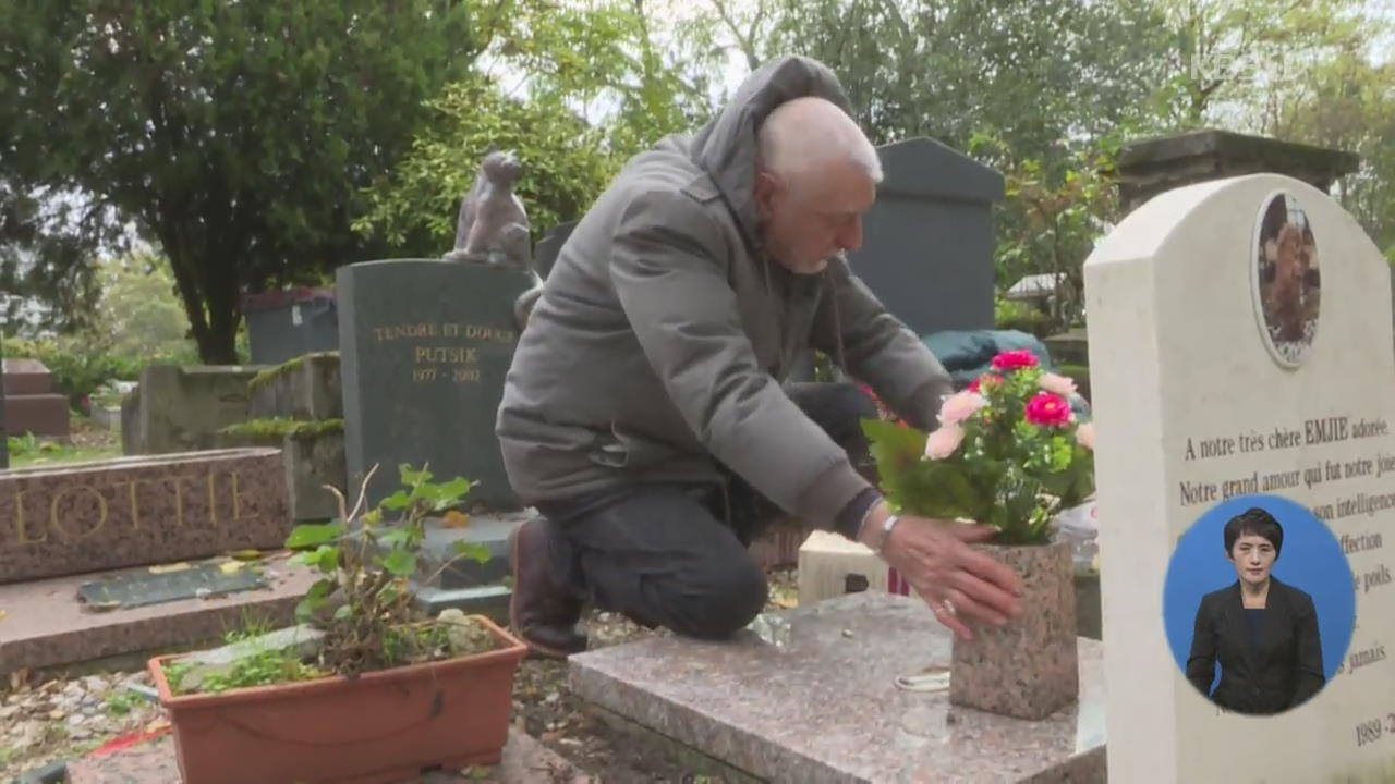프랑스, 만성절 맞아 반려동물 묘지 찾는 추모객들