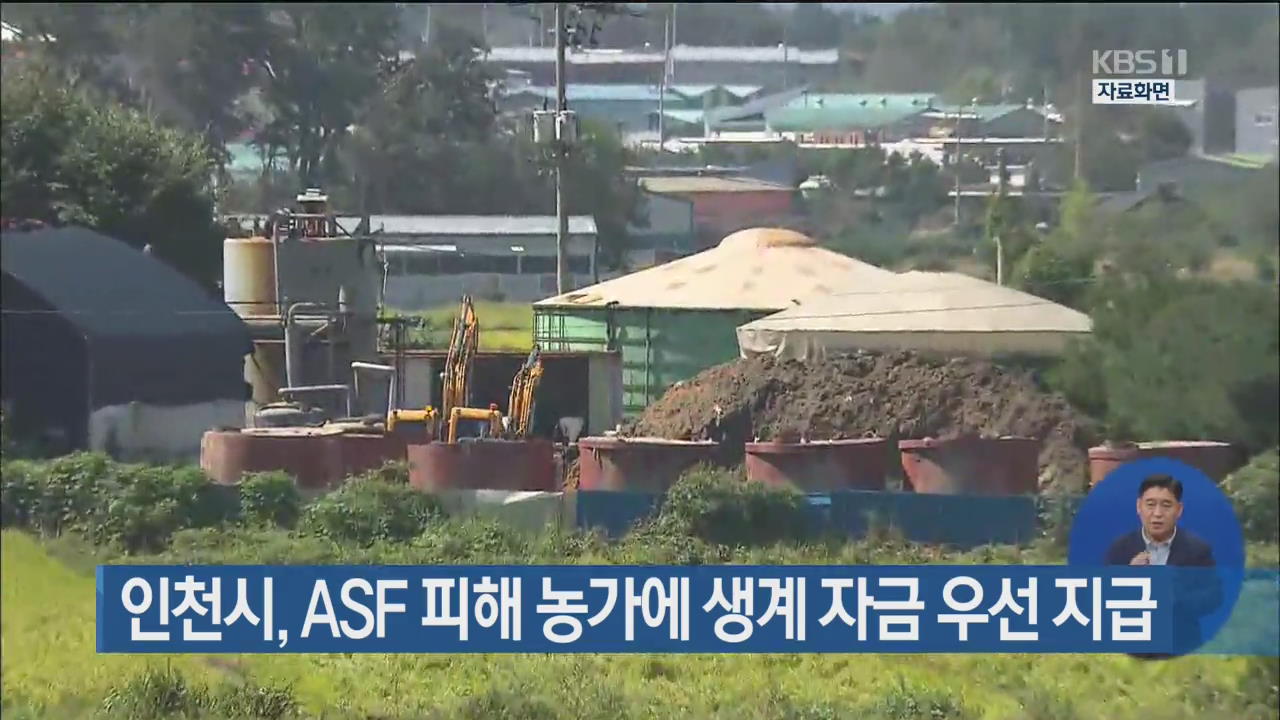 인천시, ASF 피해 농가에 생계 자금 우선 지급