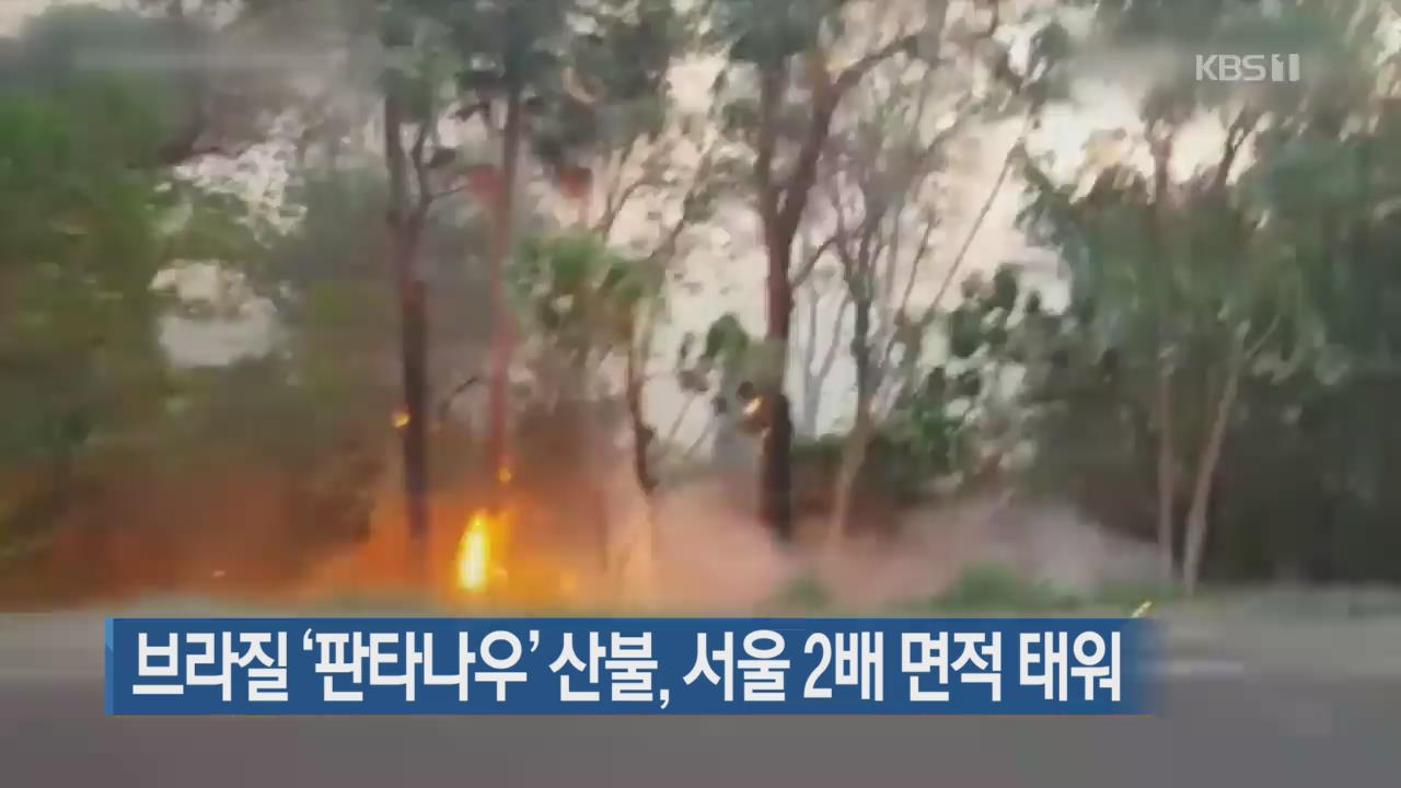 [지금 세계는] 브라질 ‘판타나우’ 산불, 서울 2배 면적 태워