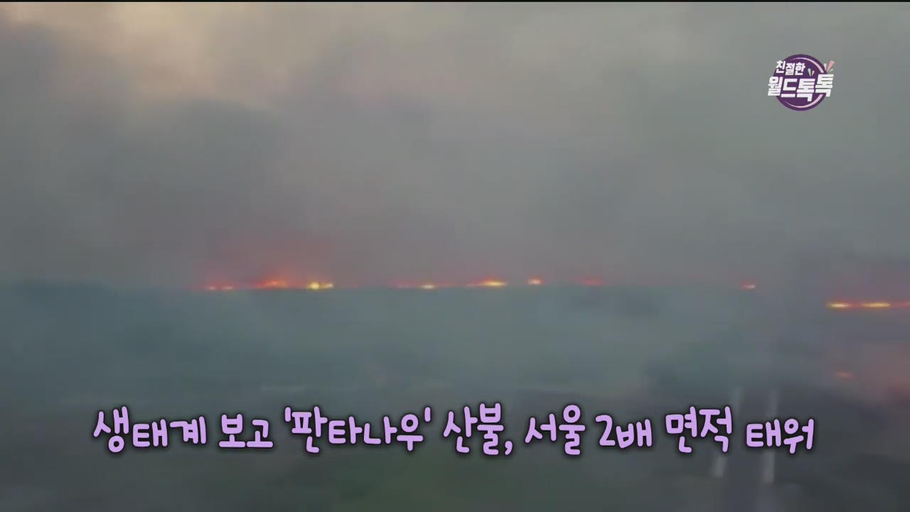 [친절한 월드톡톡] 생태계 보고 ‘판타나우’ 산불, 서울 2배 면적 태워 외