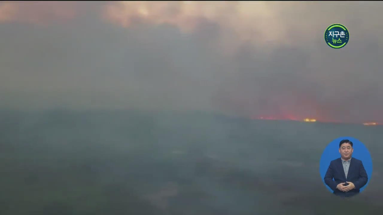 브라질 판타나우 산불 비상 사태