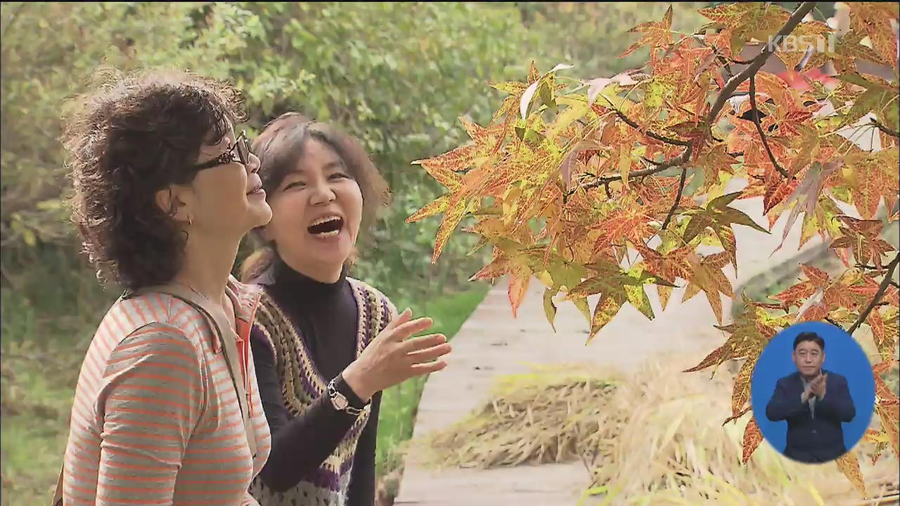 천리포수목원 이색 단풍 ‘눈길’…깊어가는 가을