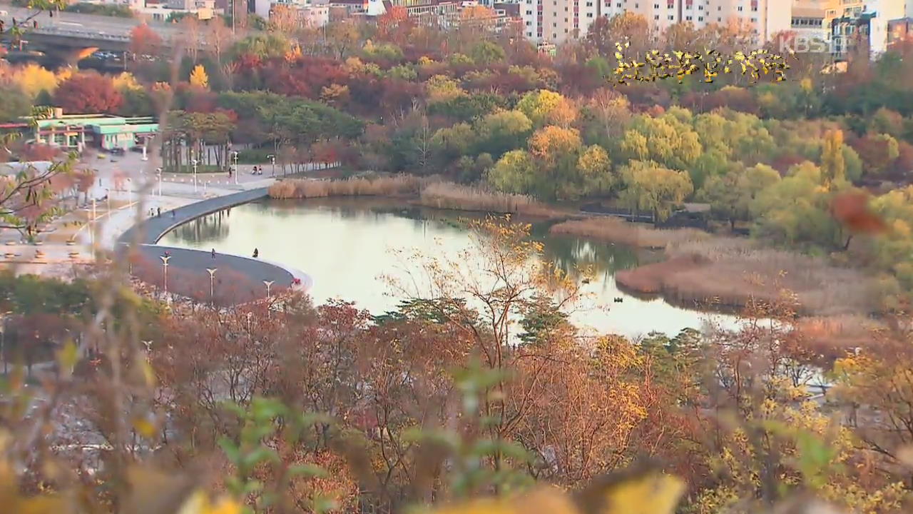 [뉴스광장 영상] 난지연못