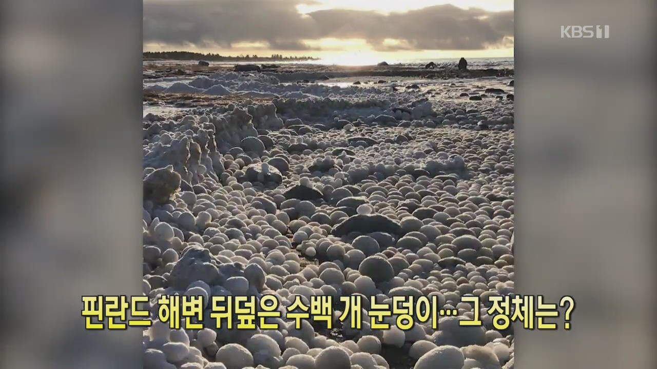 [클릭@지구촌] 핀란드 해변 뒤덮은 수백 개 눈덩이…그 정체는?