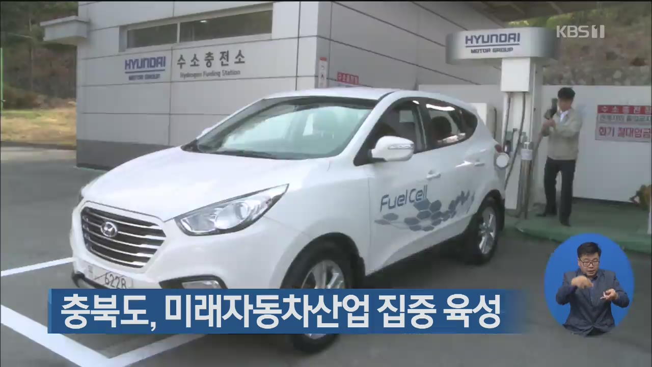 충북도, 미래자동차산업 집중 육성