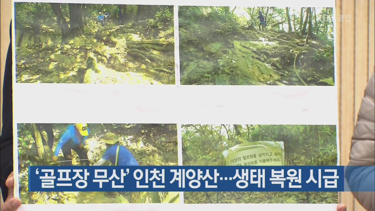 ‘골프장 무산’ 인천 계양산…생태 복원 시급
