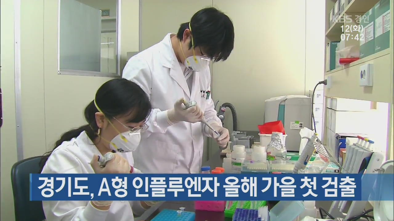 경기도, A형 인플루엔자 올해 가을 첫 검출