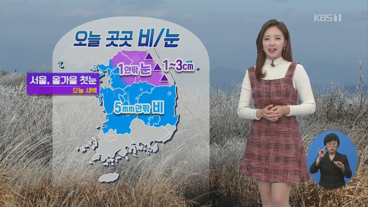 [날씨] 전국 곳곳 비나 눈…서울 올가을 첫눈 관측