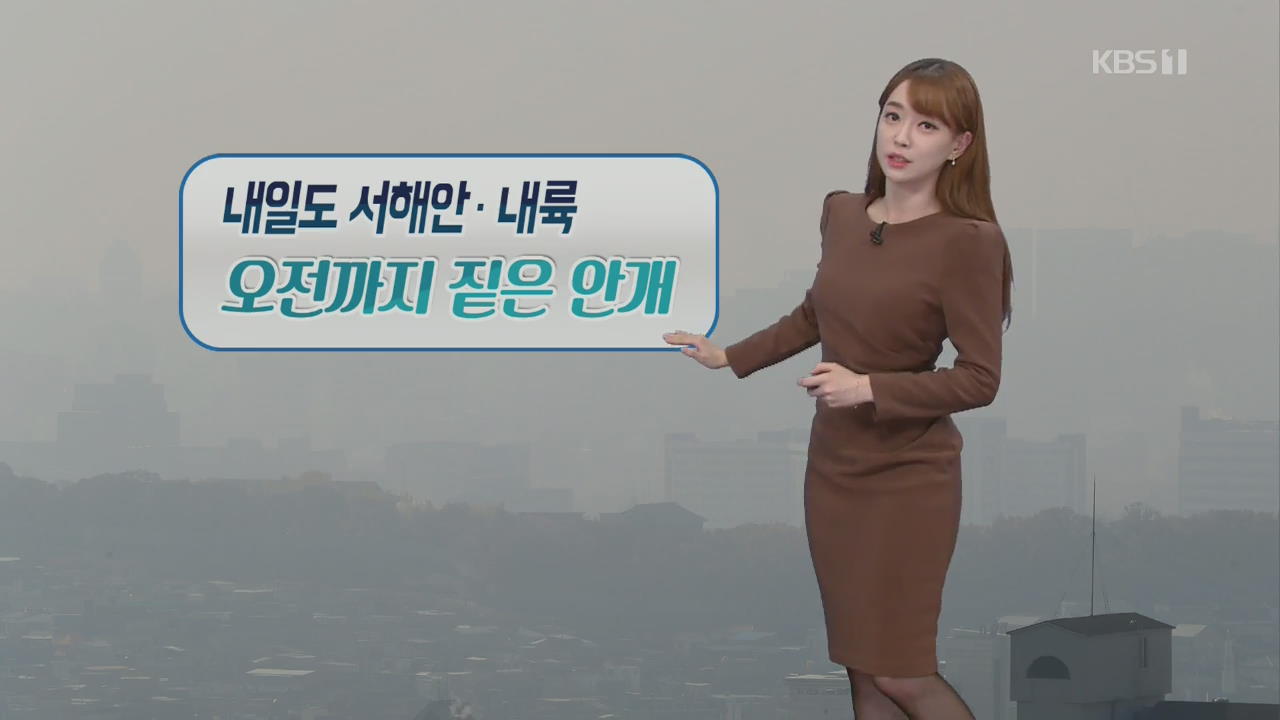 [날씨] 내일 전국 굵은 가을비…오전까지 짙은 안개