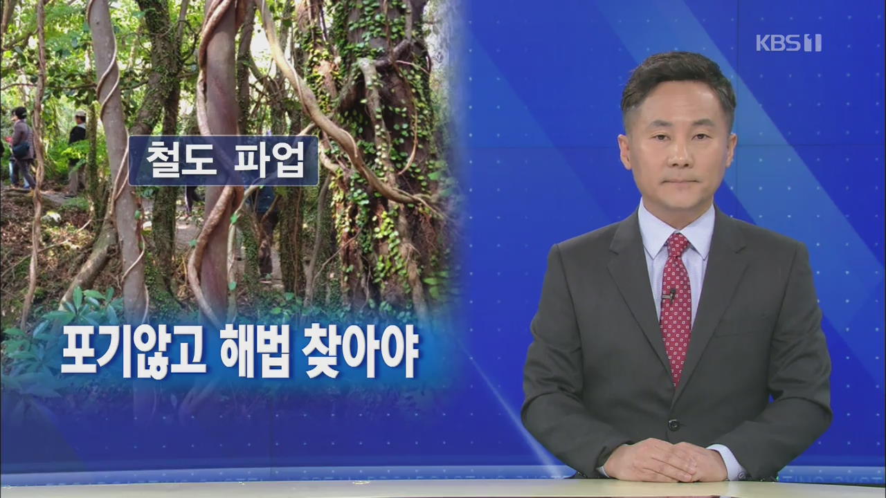 [뉴스해설] 철도파업 갈등비용 크다