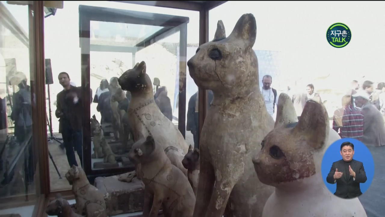 [지구촌 Talk] 이집트서 ‘새끼 사자’ 미라 첫 발견