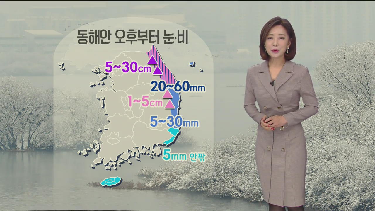 [날씨] 오늘 늦은 오후부터 강원 영동·경북 동해안 비나 눈