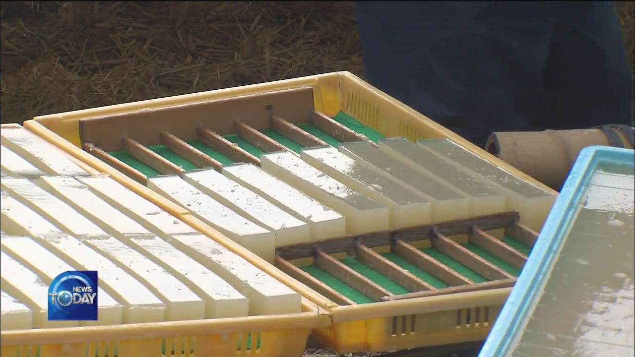 PROPOSAL OF INTER-KOREAN PROJECT ON SEAWEED