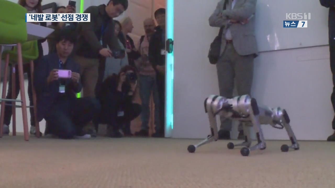 재난 막는 ‘네발 로봇’…한국도 선점 경쟁