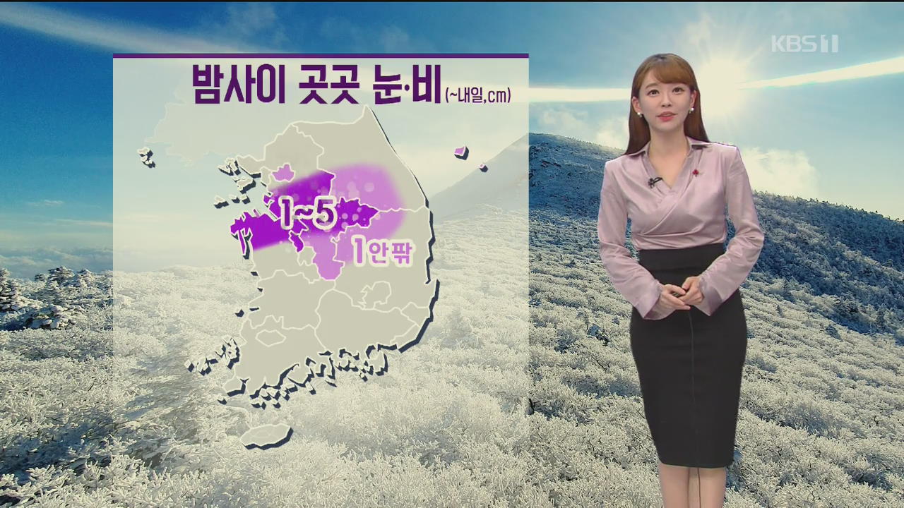 [날씨] 밤사이 경기 남부·충청 북부에 최고 5cm 눈