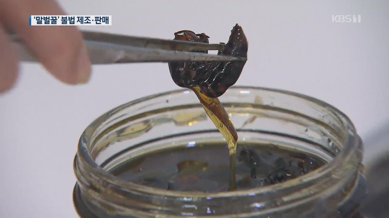 ‘말벌꿀’ 불법 유통 첫 적발…“식용 위험”