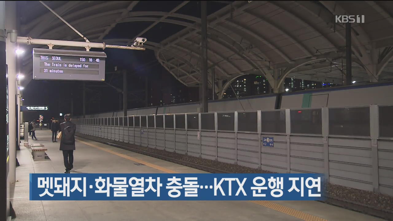 멧돼지·화물열차 충돌…KTX 운행 지연