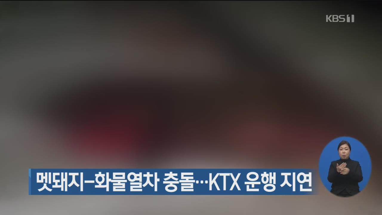 멧돼지-화물열차 충돌…KTX 운행 지연