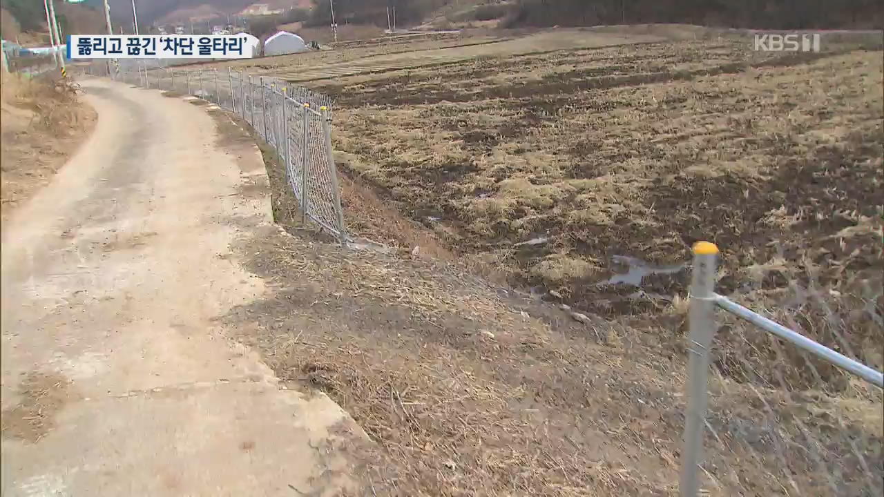 ‘뚫리고 끊기고’…엉터리 울타리로 멧돼지 차단?