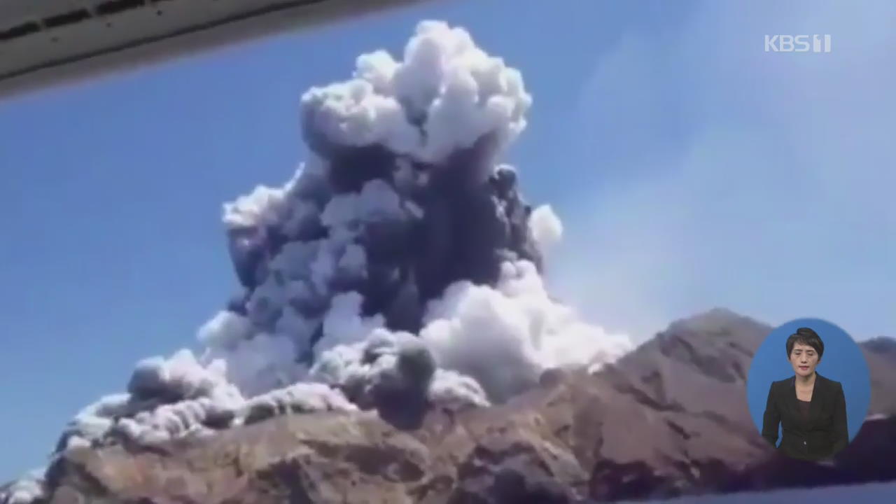 뉴질랜드 화산섬 폭발…“관광객 수십 명 부상·실종”