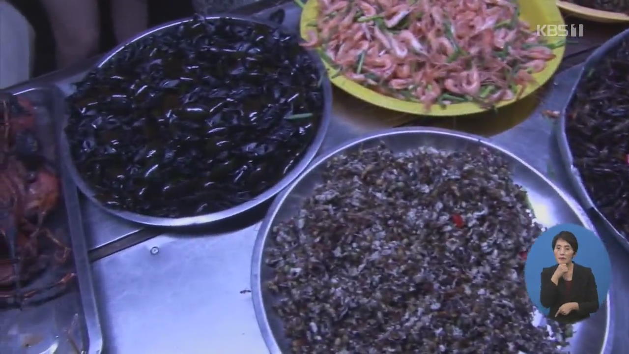 캄보디아, 다양한 곤충 요리 선보인 식당