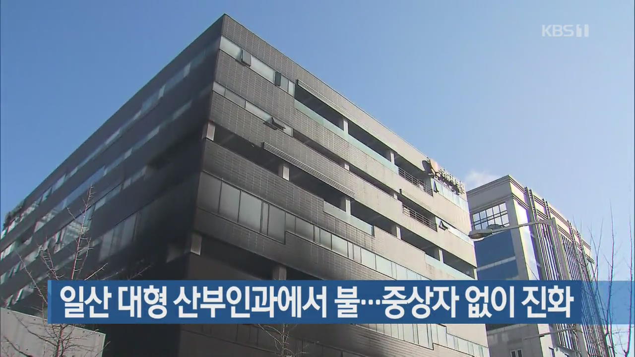 일산 대형 산부인과에서 불…중상자 없이 진화