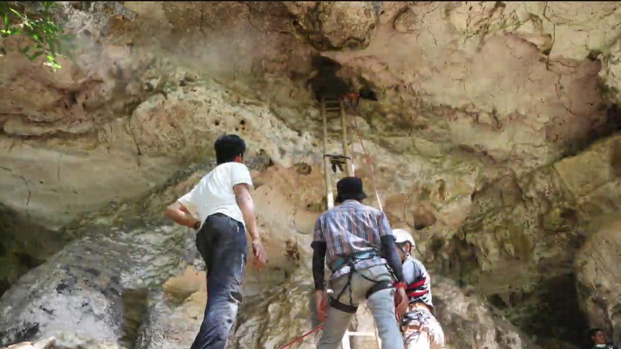 [지구촌 포토] 인도네시아서 발견된 4만 4000년 전 ‘동굴벽화’
