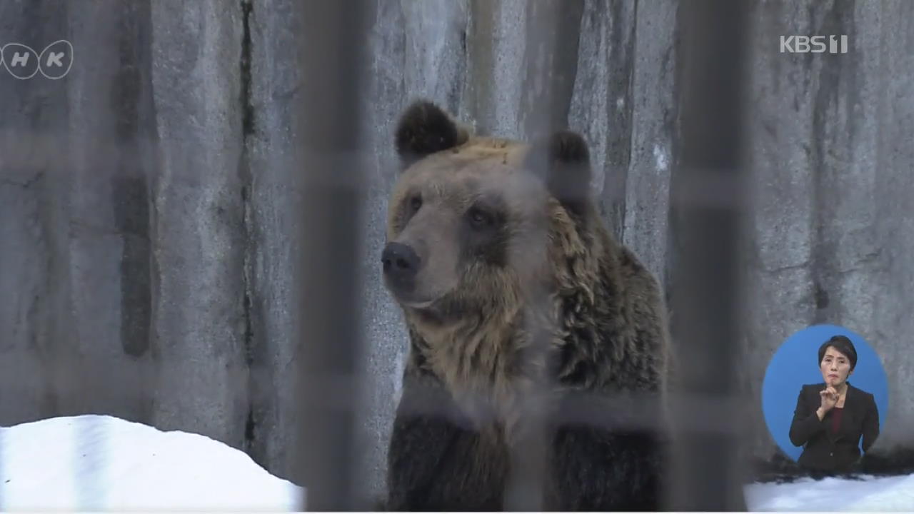 일본 동물원 사육 시설 늘려…동물복지 위해