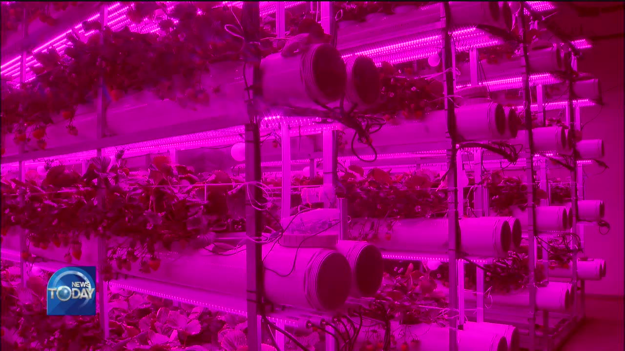 SMART FARMS BUILT IN UNCONVENTIONAL SITES