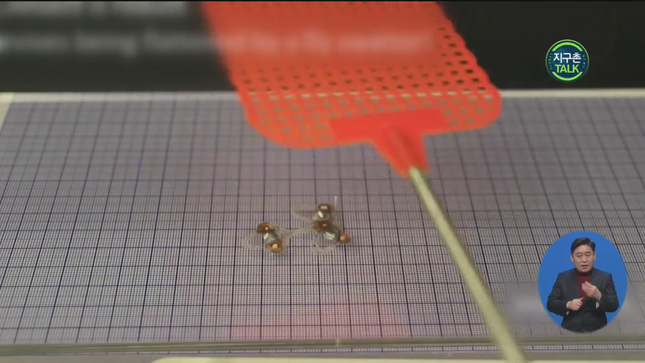 [지구촌 Talk] 파리채로 쳐도 ‘죽지 않는’ 곤충형 로봇 개발