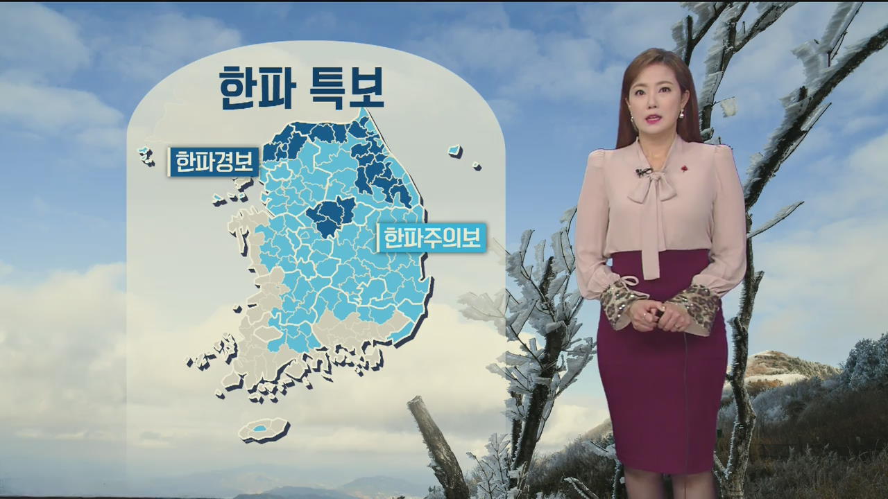 [날씨] 전국 대부분 한파 특보…내일 아침까지 충남·호남 눈